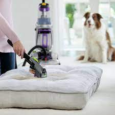 washing and cleaning dog beds