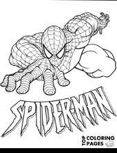 Don't want to download and print each coloring page one at a time? 40 Spider Man Coloring Pages Topcoloringpages Net
