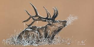 This fine art drawing print comes in two variants: Elk Bugle Drawing By Aaron Spong