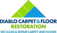 carpet cleaning carpet stain removal