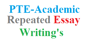   Types of Essay Support That Prove You Know Your Stuff   Essay Writing