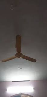 Ceiling Fan At Rs 1299 बज ज क छत क