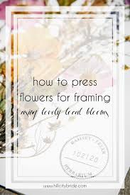 learn how to press flowers for framing
