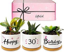 34 best 30th birthday gift ideas for