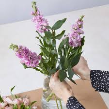 10% off flowers and plants orders at marks & spencer. Flowers Plants Online Free Next Day Flowers Delivery M S