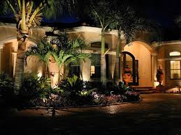 palm tree landscaping ideas