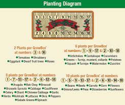 How Many Plants Can Be Planted Per Growbox