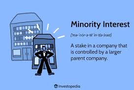 minority interest definition types
