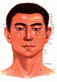 Chart Of Acupuncture Points On Human Head Kong Zi