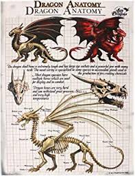 Age Of Dragons Collection Anne Stokes Adult Dragon Size