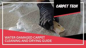 water damaged carpet cleaning and
