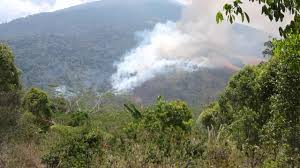 Kebakaran hutan di gunung ciremai. Lereng Utara Gunung Ciremai Terbakar Seputar Kuningan
