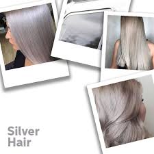 silver hair colour ideas and formulas