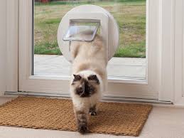 Cat Flap Dog Door Installations Pet