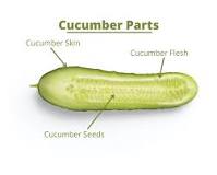 can-horses-have-cucumber-seeds