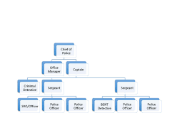 Police Department Organizational Chart The City Of