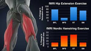 nordic exercise best option for