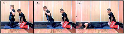 nordic hamstring exercise