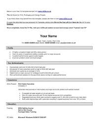 Professional CV Format In MS Word Doc PDF Free Download