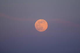 PHOTOS | Une superbe lune rose dans le ciel belge ce mardi soir - L'Avenir