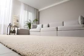 how often should you replace carpets