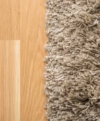 area rugs in albany from flooring