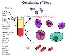 blood consuents clinical