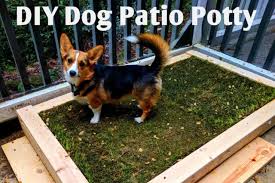 18 Diy Dog Porch Potty For House