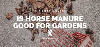 is horse manure good for gardens the
