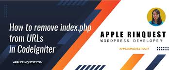 how to remove index php from urls in