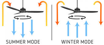 Which Direction Should A Ceiling Fan Go
