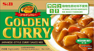 home made anese vegetarian curry