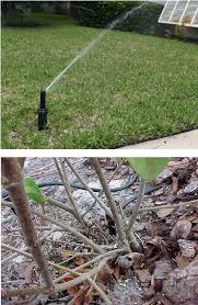 Comparison Of Typical Home Irrigation