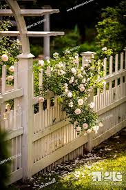 A White Picket Fence And Gate With A