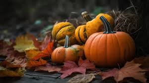 group of pumpkins background images hd