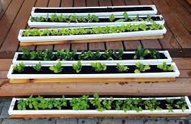 simple vertical garden plans step by