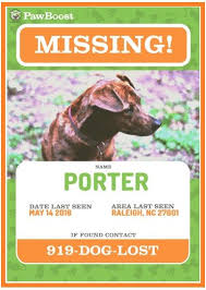 10 Missing Lost Pet Poster Templates Word Excel Pdf