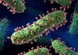 Sistema de comunicación entre virus bacteriófagos - Greeenteach