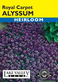 alyssum royal carpet item 7 lake