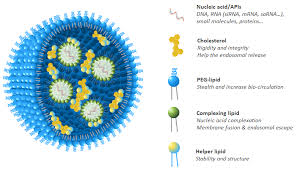 lipid nanoparticle delivery systems