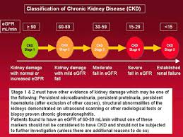 Ckd Chart Stage 4 Me Kidney Health Chronic Kidney