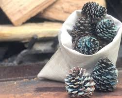 Flame Color Changing Pine Cones