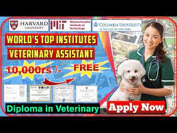 veterinary cine free courses