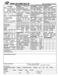 21 Printable Skilled Nursing Notes Pdf Forms And Templates
