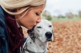 7 surprising facts about dog kisses