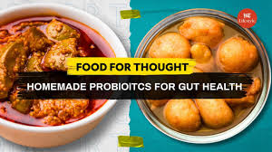 homemade probiotics for gut health
