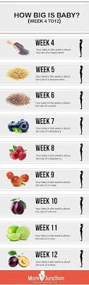 Hand Picked Pregnancy Baby Size Chart Fruit Baby Sizes In