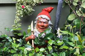 a history of the garden gnome