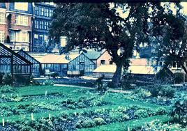 History Chelsea Physic Garden