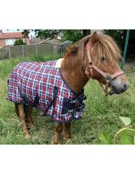 Luba Mini Pony Allweather Winterblanket 150gram